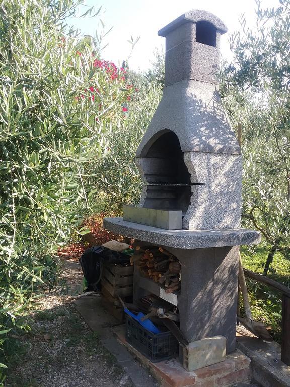 Casa Vacanze L'Oliveta Siena Exterior foto